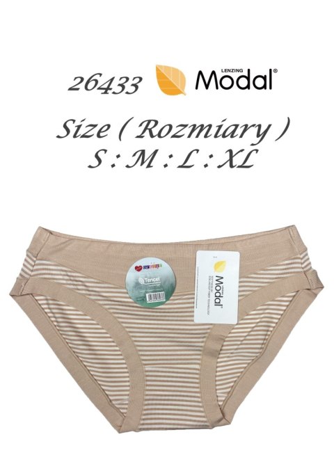 MAJTKI MODAL 26433